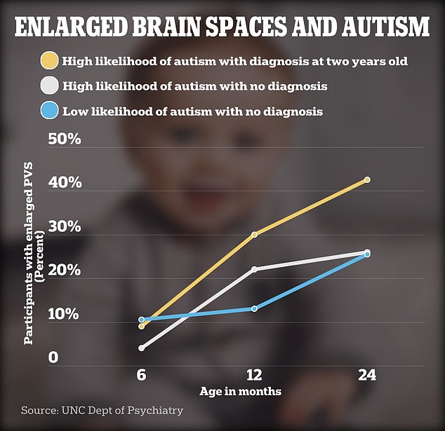 Die obige Grafik zeigt den Zusammenhang zwischen vergrößerten perivaskulären Räumen und einer zukünftigen Diagnose von Autismus.  Eine hohe Wahrscheinlichkeit, an Autismus zu erkranken, wird definiert, wenn die Störung in der Familie vorkommt, und eine niedrige Wahrscheinlichkeit, wenn keine Veranlagung für Autismus vorliegt