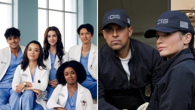 2024 Primetime-TV-Programm Sehen Sie, wann ABCs Gray's Anatomy, CBS NCIS und weitere Sendungen zurückkehren