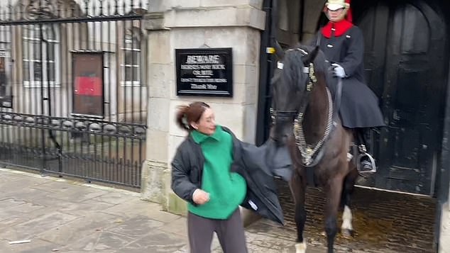 Man sieht, wie die Touristin versucht, dem Pferd zu entkommen, nachdem es ihre Jacke festgeklemmt hat – aber ohne Erfolg