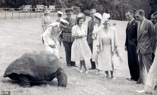 Die Schildkröte lernte 1947 Edwards verstorbene Mutter Prinzessin Elizabeth, die spätere Königin Elizabeth II., und ihre Großeltern König Georg VI. und Königin Elizabeth, die spätere Königinmutter, kennen