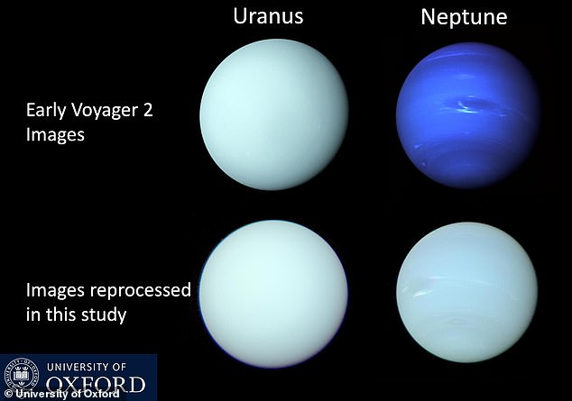 Neptun ist für sein sattes Blau und Uranus für sein Grün bekannt – aber die beiden Eisriesen sind sich farblich tatsächlich viel ähnlicher als gemeinhin angenommen.  Neptun ist tatsächlich nicht so tiefblau wie oft angenommen und hat eine Farbe, die der von Uranus viel ähnlicher ist – blasses Blaugrün oder „Cyan“.