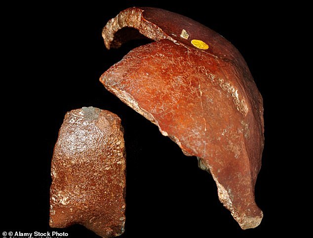 Der Piltdown-Mensch galt allgemein als das fehlende Glied in der menschlichen Evolution, nachdem seine Überreste bereits 1912 entdeckt wurden