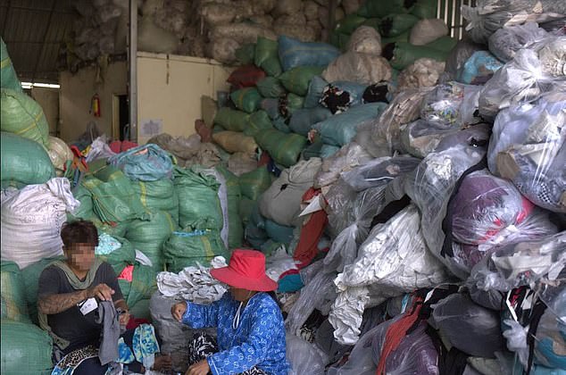 The garment offcuts were being incinerated in giant plastic bags. Pictured: Workers in Cambodia sort through bags of garment waste at a brick kilm