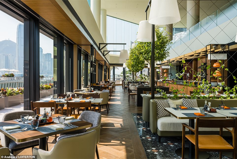 Die sonnige Lounge am Hafen bietet eine beeindruckende Aussicht über die ganze Stadt