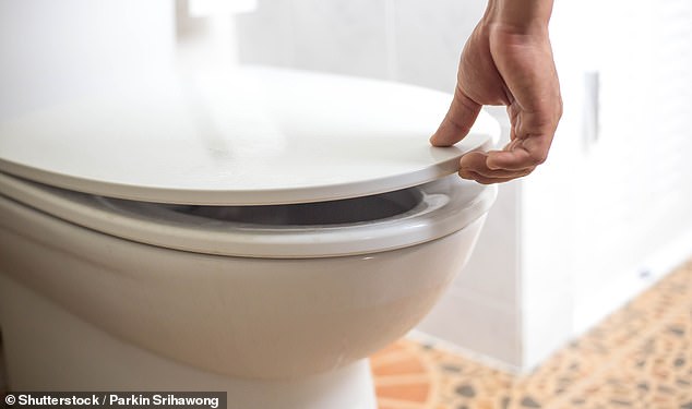 Überraschenderweise stellten die Forscher fest, dass das Öffnen oder Schließen des Deckels keinen statistisch signifikanten Unterschied bei der Ausbreitung von Bakterien im Badezimmer machte