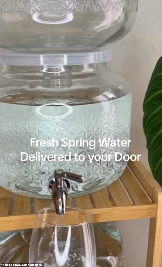 Eine andere Content-Erstellerin namens Denise, die sich @tropicalseductions nennt, ermutigte ihre Benutzer ebenfalls, einen Quellwasser-Lieferservice über Glaskühler zu nutzen