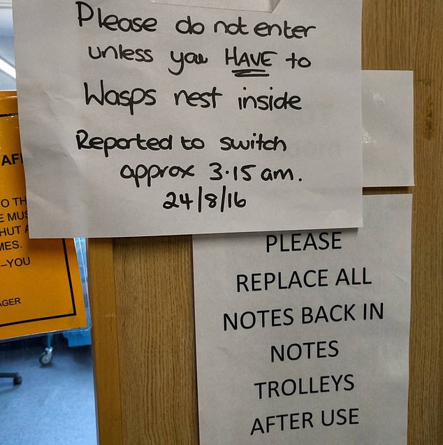 Dieses Schild mit der Warnung vor einem Wespenbefall wurde offenbar im Jahr 2016 bei einer ungenannten NHS-Stiftung angebracht.  Eingereicht an das X-Konto @SignsofHealth