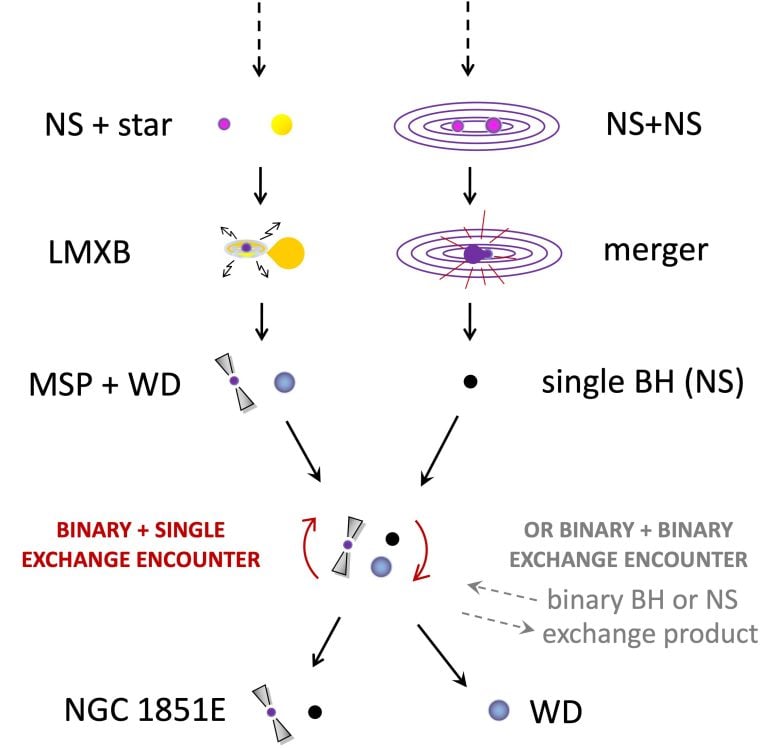 Radiopulsar NGC 1851E und Entstehungsgeschichte exotischer Begleitsterne