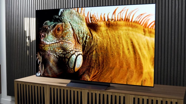 Eine Nahaufnahme eines bunten Leguans, gezeigt auf einem LG C3 OLED.
