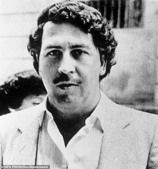 Pablo Escobar richtete in den 1980er Jahren auf seinem Anwesen Hacienda Napoles seinen eigenen Zoo ein, als er 1.900 exotische und wilde Tiere von einem Zoo in Dallas kaufte.  Die Sammlung umfasste vier Nilpferde, die heute auf 169 angewachsen sind