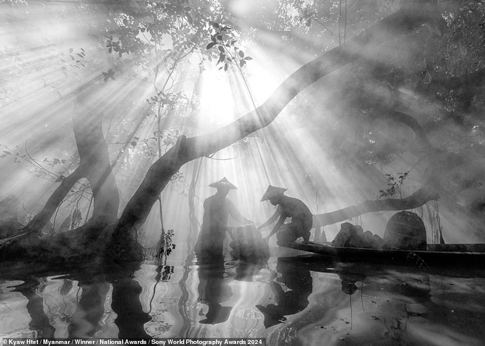 Der Fotograf Kyaw Htet erhielt den Myanmar National Award für die faszinierende Aufnahme dieser ruhigen Szene.  Das Bild zeigt ein Paar beim Angeln am Inle-See in Myanmar im Schatten „eines majestätischen, weitläufigen Baumes“. Der Fotograf fügt hinzu: „Die Spiegelungen auf dem Wasser verleihen dem Moment einen zusätzlichen Hauch von Schönheit.“