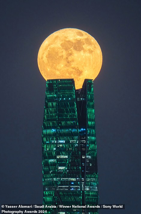 Auf diesem beeindruckenden Bild von Yasser Alomari scheint ein Supermond auf dem Turm des Saudi Public Investment Fund in Riad, Saudi-Arabien, zu balancieren.  Es gewinnt den Saudi Arabia National Award