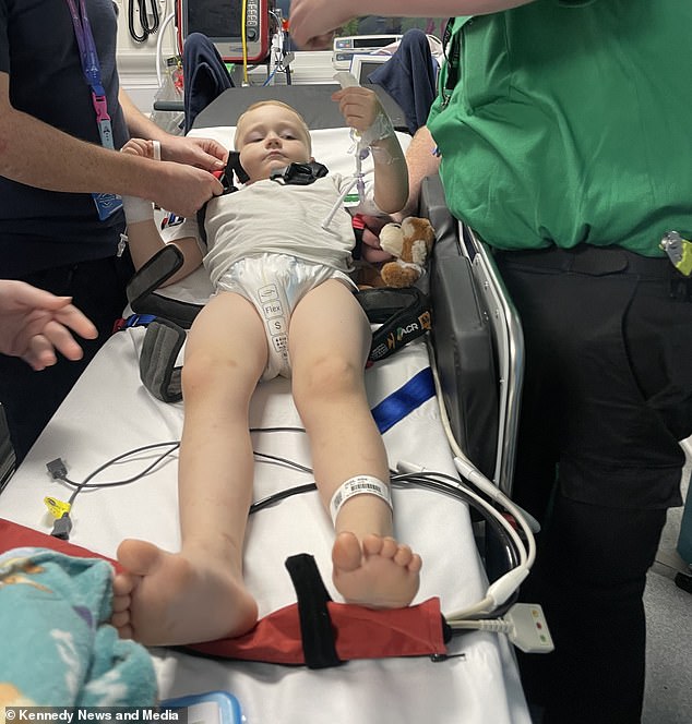 Recent cases of glycerol intoxication include four-year-old Albie Pegg, from Nuneaton, Warwickshire (pictured). His mother Beth Green, 24, this week revealed how her unconscious son was hospitalised and she feared he'd die an hour after he downed an iced slushy drink