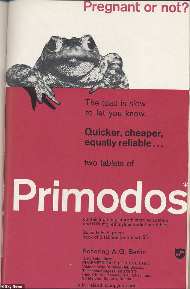 An advert for Primodos in 1961. Before the drug became available, pregnancy tests were slow. One method relied on a woman's urine being injected into a live toad, which would produce eggs if the woman was pregnant