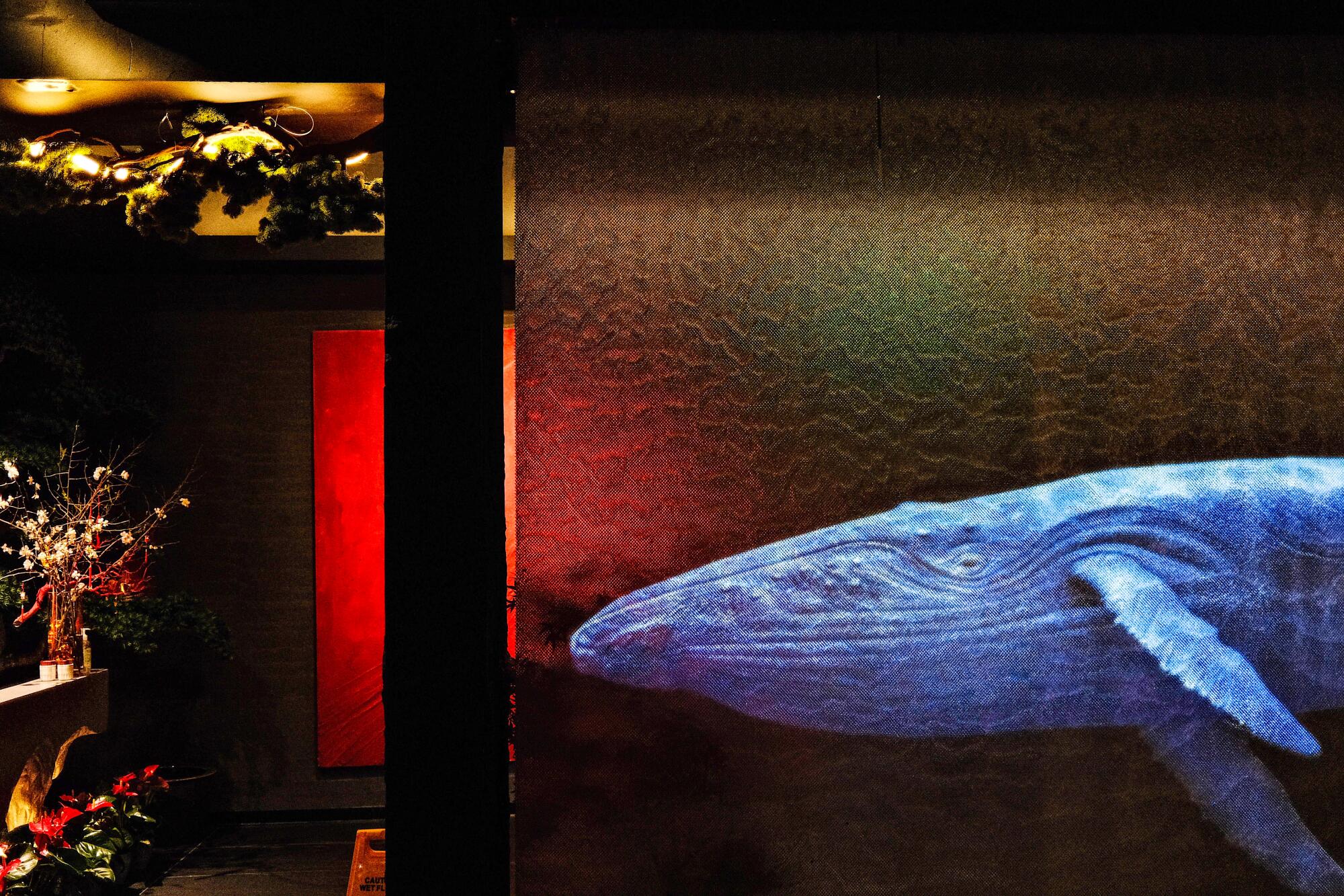 Ein vorbeischwimmender Wal, projiziert auf einen Vorhang im Eingangsbereich des Restaurants.