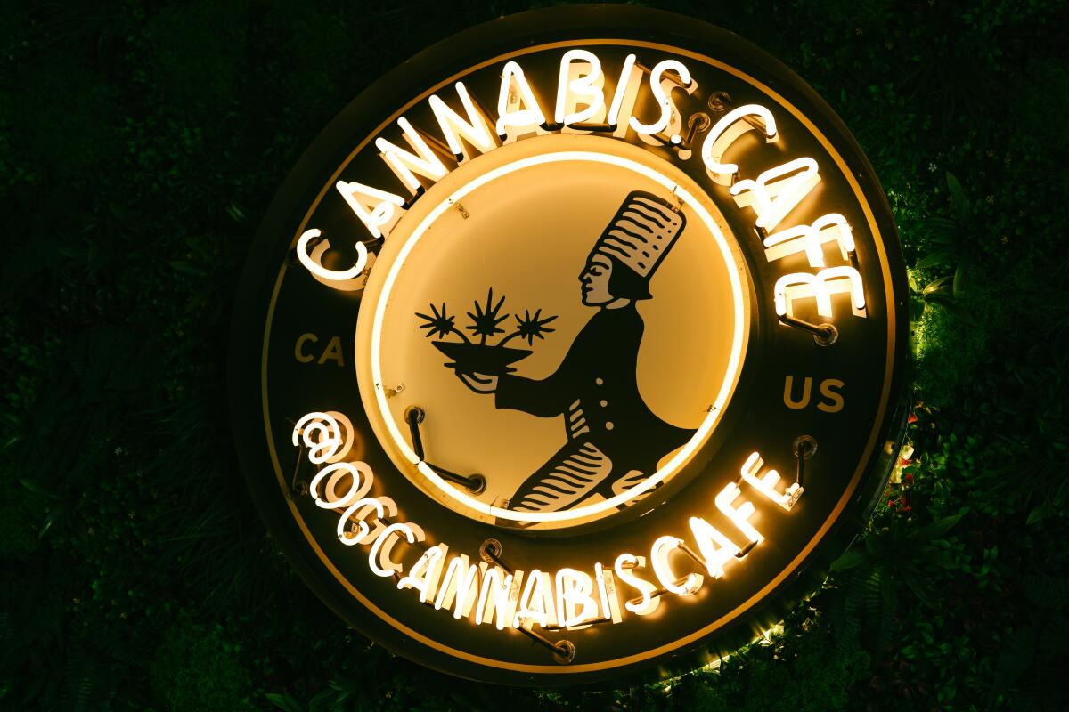 Eine kreisförmige Leuchtreklame mit den Worten „Cannabis Cafe“ und „@OGCannabiscafe“ vor einer grünen Wand