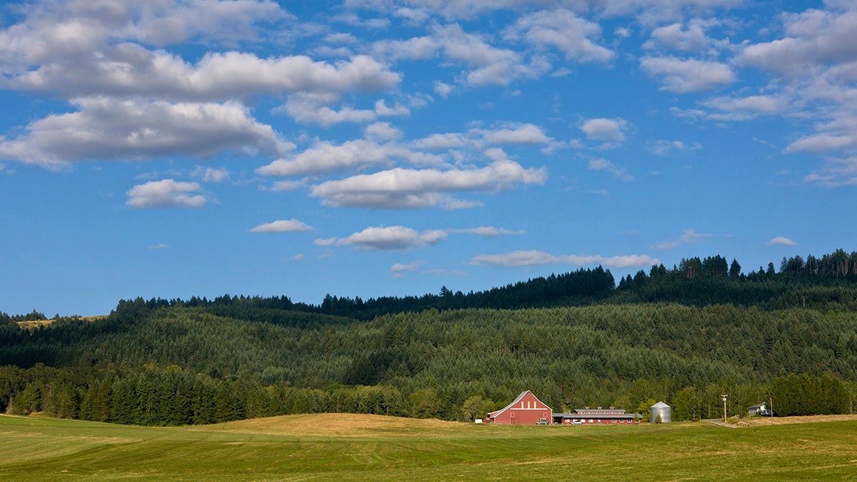 Rote Scheune auf einem Feld mit bewaldeten Hügeln und blauem Himmel dahinter