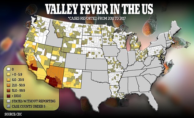 Der Pilz, der das Valley-Fieber verursacht, gedeiht in heißen, trockenen Umgebungen