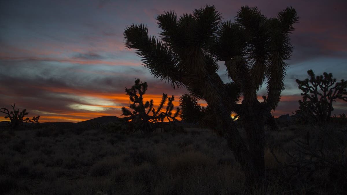 Mojave-Wüste in der Abenddämmerung