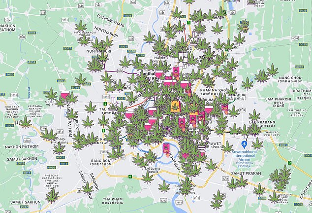 Das Obige zeigt Marihuana-Läden in Bangkok, Thailand