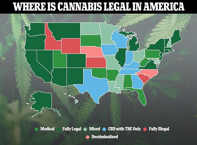 Das Obige zeigt den Cannabiskonsum in allen amerikanischen Bundesstaaten.  Einundzwanzig Bundesstaaten und DC haben es neben der medizinischen Verwendung auch für den Freizeitgebrauch legalisiert, während fast alle mittlerweile die Verwendung für medizinische Zwecke erlauben