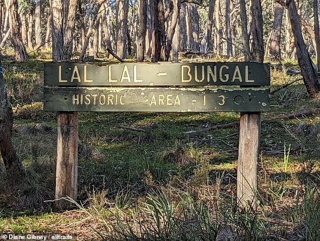 Der Lal Lal State Forest liegt nur 20 km von der Stelle entfernt, an der die vermisste Mutter Samantha Murphy am Sonntag im nahe gelegenen Woowookarung Regional Park joggen ging