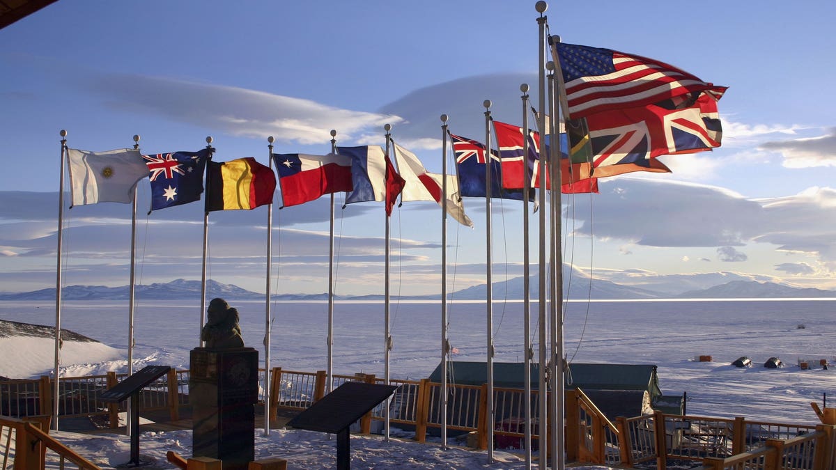 Flaggen des Antarktisvertrags