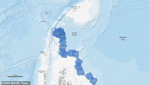 Wissenschaftler enthüllten im November, dass der Berg wieder in Bewegung ist.  Diese Karte zeigt die blau hervorgehobene Position des Bergs ab August (unten) und in den letzten Wochen (oben).
