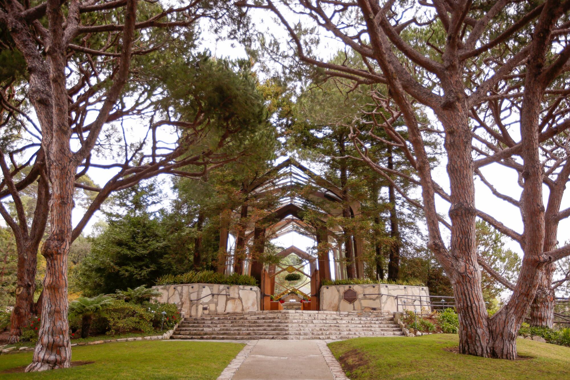 Bäume umgeben die Außenseite einer gläsernen Kirche.
