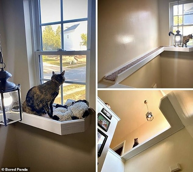 Da dieses Haus so konzipiert war, dass die oberen Fenster nicht zugänglich waren, baute die Familie ein Regal, damit ihre Katze herausschauen konnte