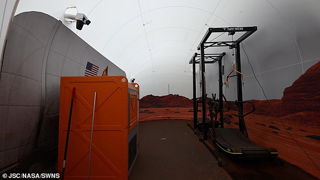 Im Bild ein Laufband, auf dem die Freiwilligen an Gurten hängend laufen, um die geringere Schwerkraft des Mars zu simulieren