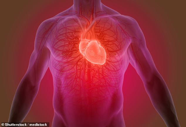 Bei einer Operation zur Reparatur beschädigter Klappen oder zum Ersatz durch künstliche Klappen handelt es sich häufig um einen Eingriff am offenen Herzen, bei dem der Brustkorb aufgeschnitten wird, um Zugang zum Herzen zu erhalten (Stockbild)