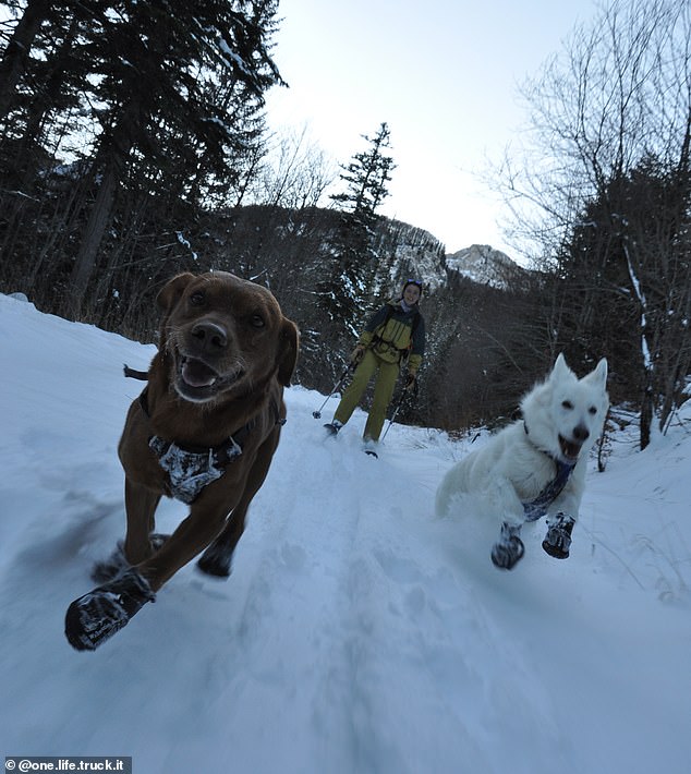 Marie nahm ihren Hund Rubia mit auf die Reise.  Rubia und Red tänzeln durch die verschneiten Wälder in Trnovo, Bosnien