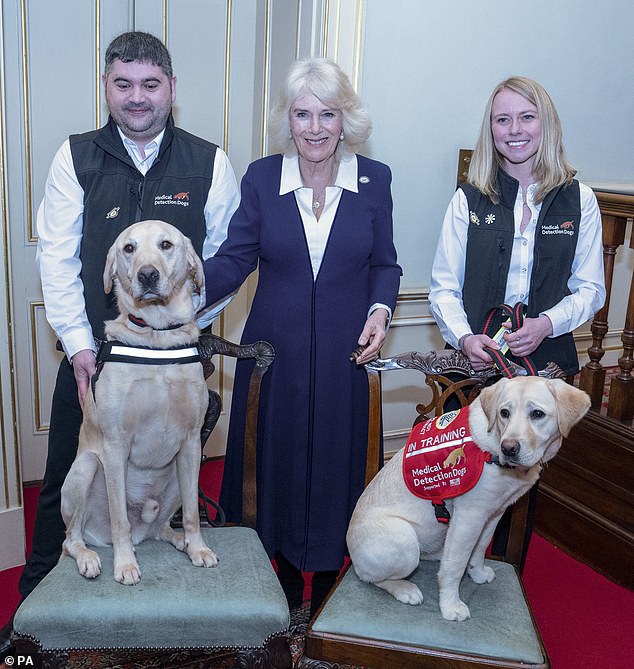 Camilla lächelte mit Vertretern der Wohltätigkeitsorganisation Medical Detection Dogs und zwei Spürhunden namens Storm (links) und Maggie (rechts).