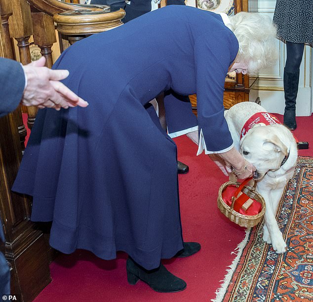 Während des Empfangs im Clarence House bot Camilla einem Hund einen kleinen Leckerbissen aus einem Korb an
