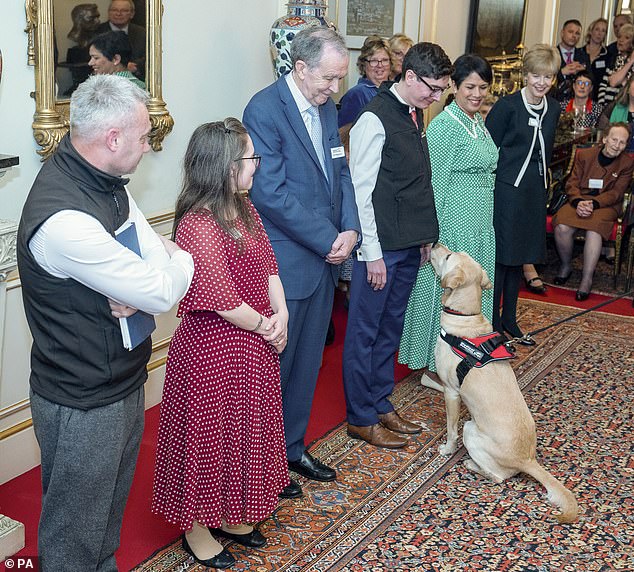 Der entzückende Hafthund Storm (im Bild) beeindruckte die Gäste während einer Vorführung an der Rezeption