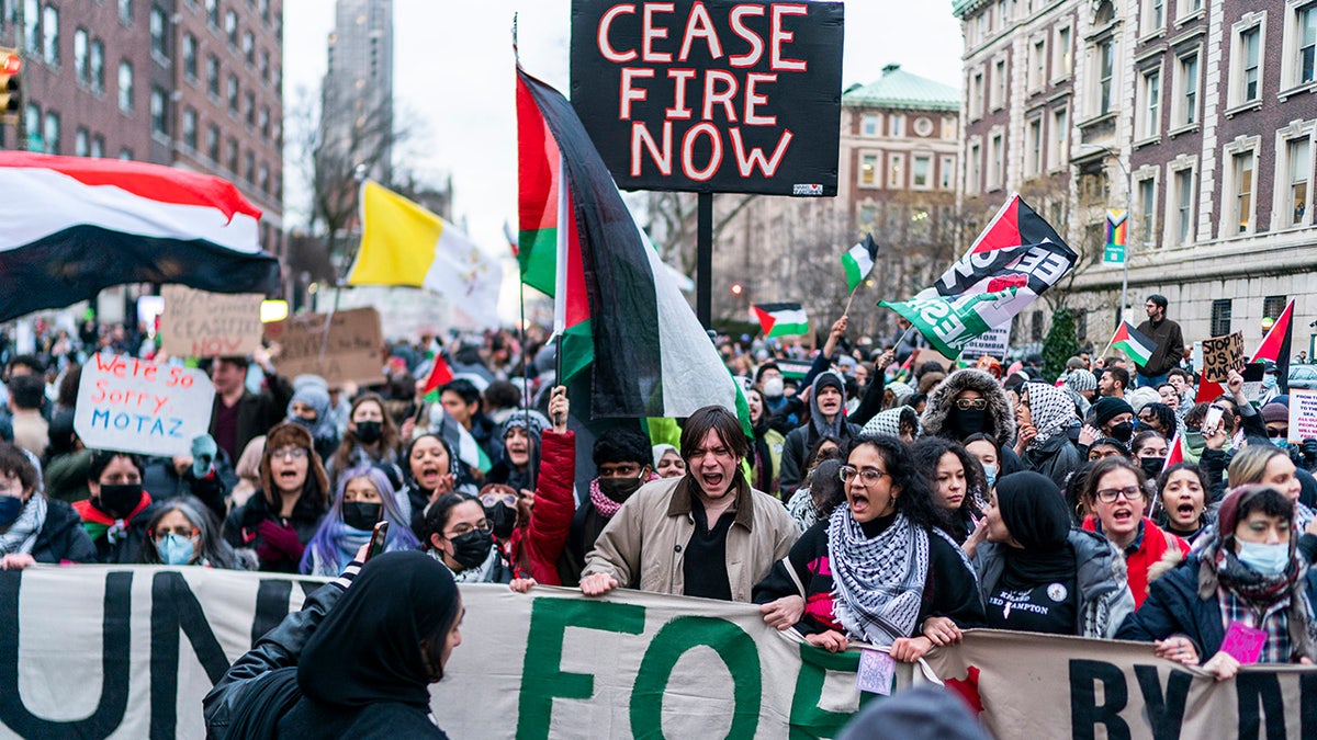 Pro-Palästina-Studentendemonstranten in NYC
