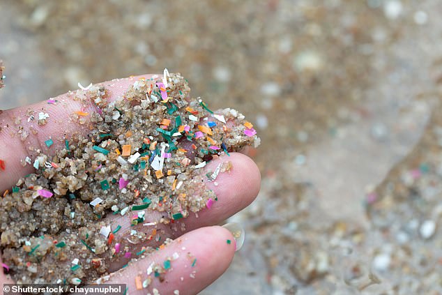 Mikroplastik wurde fast überall auf der Erde gefunden, darunter an Stränden, in Bergen und in unberührter Wildnis