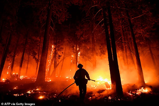 Biden sagte, er habe die Auswirkungen des Klimawandels an den Waldbränden gesehen, die das Land heimgesucht hätten