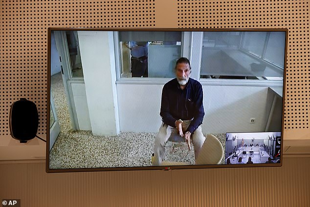 McAfee erschien per Videokonferenz während seiner Auslieferungsanhörung vor dem Gericht Audiencia Nacional in Madrid, Spanien