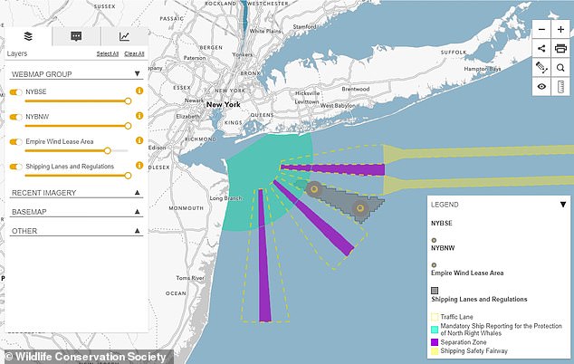 Die Finnwale der New Yorker Bucht halten sich in der Regel in diesem kartierten Gebiet auf, aber die Fahrspuren (gepunktete gelbe Linien) von Schiffen können eine Bedrohung für Wale darstellen, sowohl durch direkte Schläge als auch durch den Lärm ihrer Motoren, der den Gesang der Wale stört