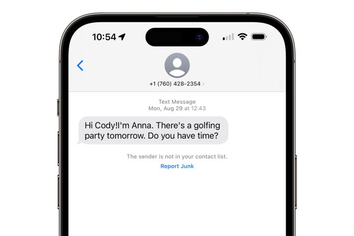Example of a spam message in iPhone Messages app.