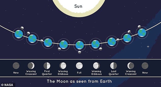 Wir sehen den Mond als vollständig erleuchtet, wenn er, die Erde und die Sonne alle in einer Syzygie sind, das heißt, sie sind ausgerichtet.  Während dies technisch gesehen nur für einen Moment geschieht, erscheint der Mond einen Tag lang auf beiden Seiten dieses Punktes immer noch voll