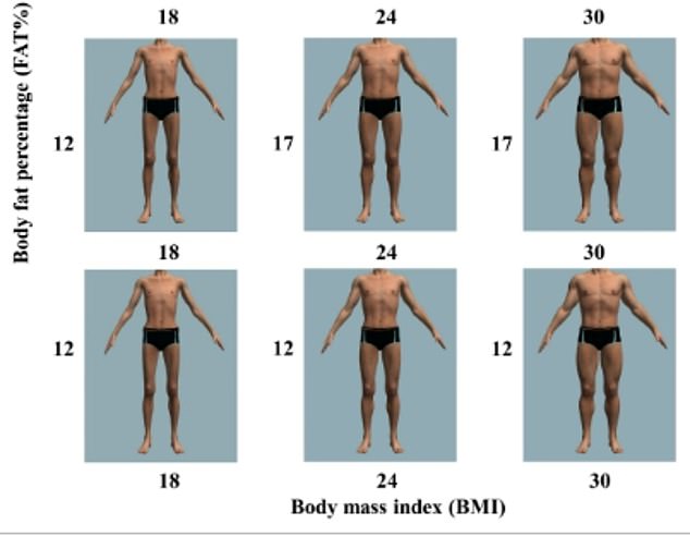 Frauen in Italien wurden gebeten, zu bewerten, welchen männlichen Körpertyp sie am attraktivsten fanden, indem sie den Körperfettanteil und den Body-Mass-Index (BMI) variierten.  Sie fanden den Mann oben in der Mitte am attraktivsten