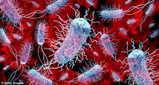 Schwer behandelbare Infektionen nehmen zu, da die Bakterien, die sie verursachen, zunehmend immun gegen die zu ihrer Behandlung eingesetzten Antibiotika werden