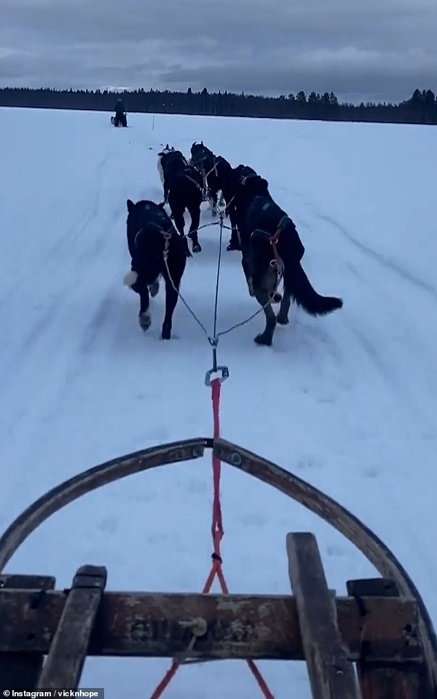 Im ersten Clip ist ein Rudel Hunde zu sehen, die mit einem Schlitten durch den Schnee hüpfen