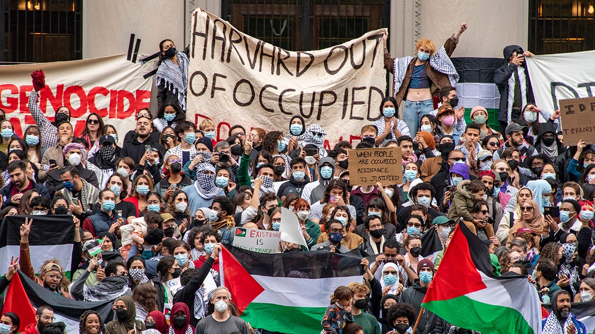 Pro-palästinensische Demonstranten an der Harvard University