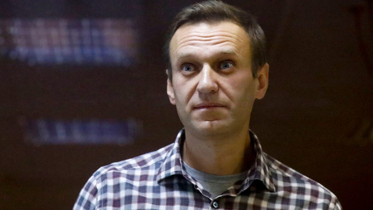 Der russische Oppositionsführer Alexej Nawalny vor Gericht