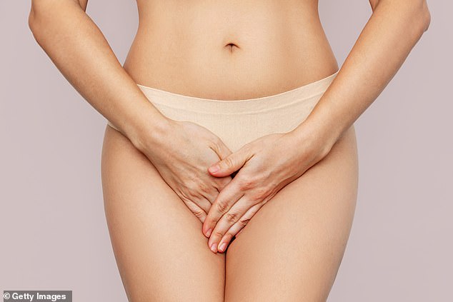 Rasanter Trend: Die Schamlippenkorrektur – eine Operation zur Reduzierung der inneren oder äußeren Falten der weiblichen Vulva – ist eine der am schnellsten wachsenden Schönheitsoperationen
