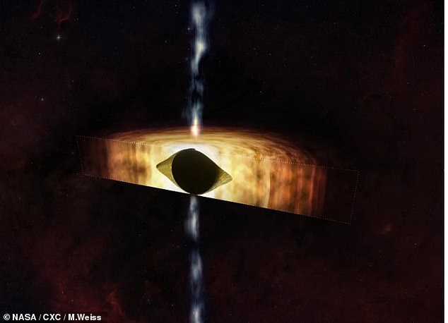 Die NASA veröffentlichte eine Illustration, die den Querschnitt des fußballförmigen, supermassiven Schwarzen Lochs zeigt, umgeben von wirbelnder Materie.